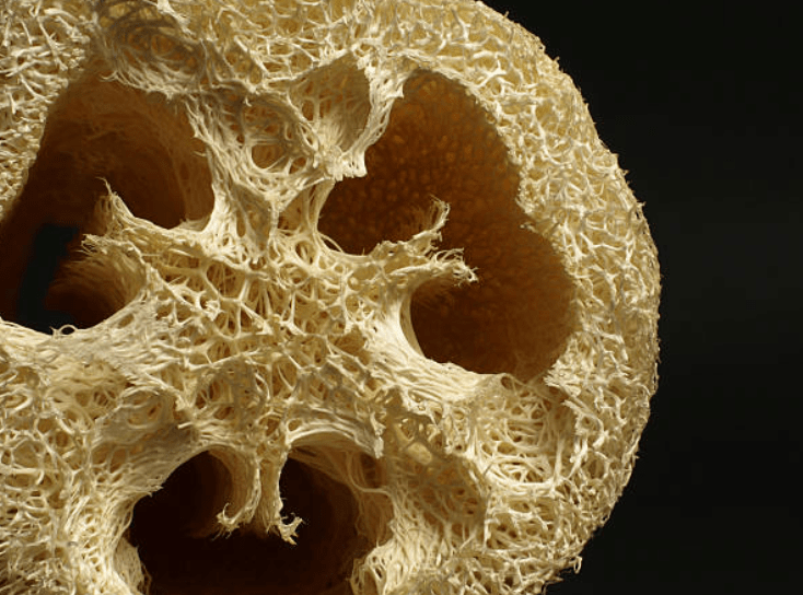 natural loofah